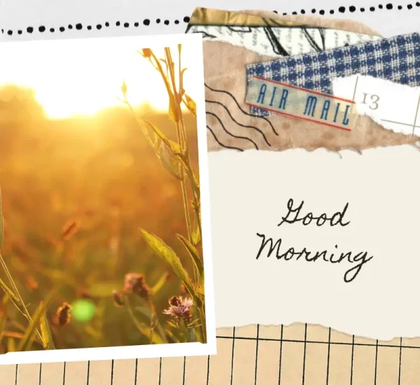 Gratitude Journal Ideas for a More Positive Routine
